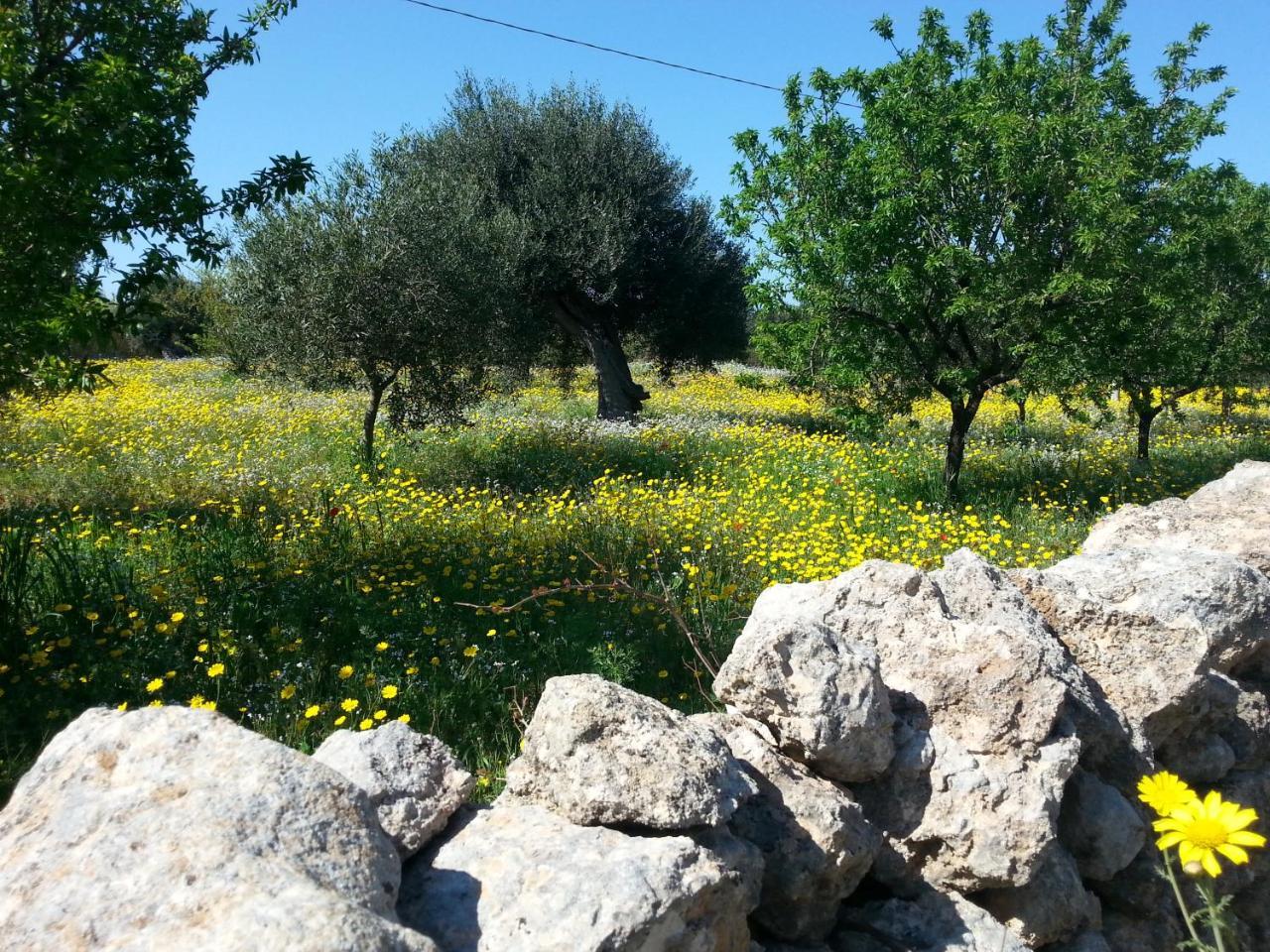 Bed and Breakfast The Proud Garden Carovigno Exterior foto